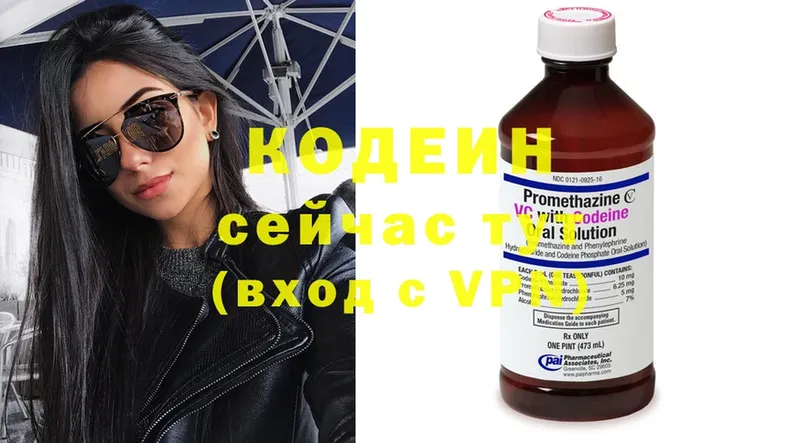 купить закладку  Вилючинск  Кодеин Purple Drank 